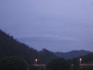 557313