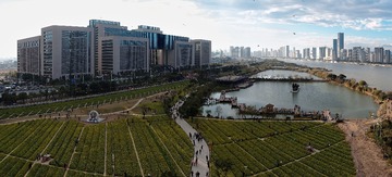 IMGP7875ZQ-Pano