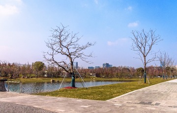 973561