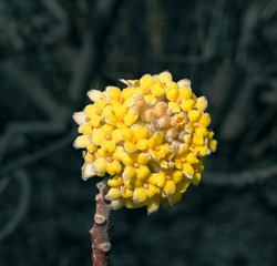 978383