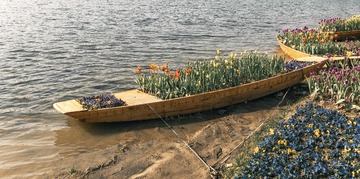 974523