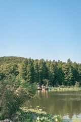 975854