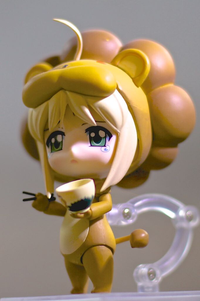 小狮子·~