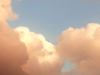 1308706