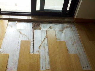 2012-02-18 14.36.35.jpg