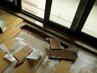 2012-02-26 15.30.38.jpg