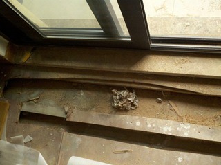2012-02-26 16.18.57.jpg
