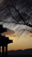 剪影.jpg