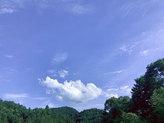 D7A72F60-E1A5-4493-92C7-DB9F552A1CA9/L0/001