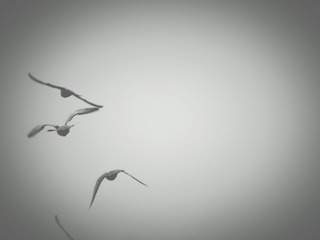 58680