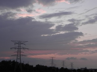 71366