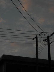 71359