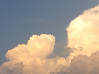 C7964F84-C434-48A6-98F7-065FFA2F65DA/L0/001