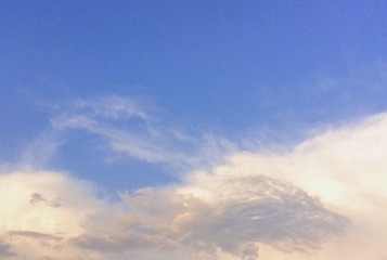 DAA8F914-06FA-4038-A6AD-CA0C2565D3D6/L0/001