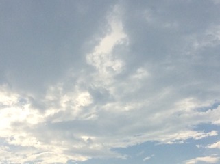 FE67AFE9-7D3A-4C03-8463-8B1DB3C0312B/L0/001