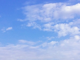 538FE65F-2E9F-4938-BBED-B73F7D0E41EE/L0/001