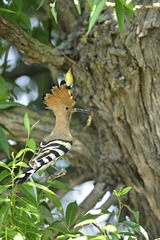 DSC_0656.jpg