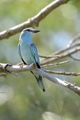 DSC_0671.jpg