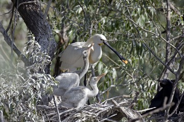 DSC_0699.jpg