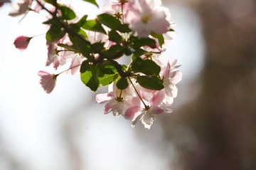 6C7A27CA-CE29-45C8-9E84-5A105355D766/L0/001