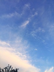 6B9131FE-35CA-42B6-8AFE-7B2F7BBD6E14/L0/001