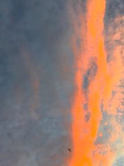 CCDC34BD-A865-437F-BC13-EC79F0B3614E/L0/001