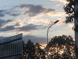 638547