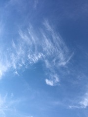 E9C2369E-8D12-46F0-B791-04E4EDE90EEC/L0/001