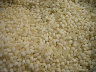 CIMG7204