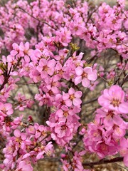 3D30FEB5-3DEB-4742-B941-36463601743A/L0/001