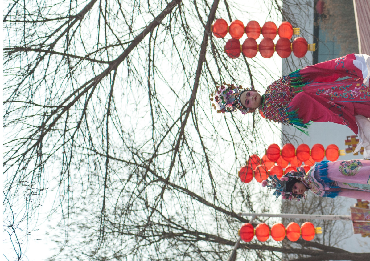 中国人的庙会 - 新春, 过年, 太原, 北京, 太原动物