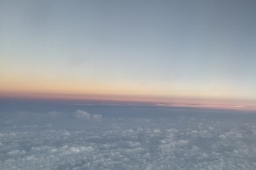 1654C4E9-9C93-4D73-AD02-7E636B96B03A/L0/001