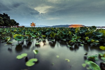 IMG_8804-编辑-2