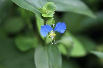 4月采风7