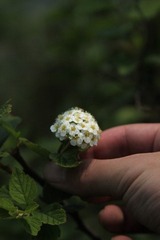 6月野外见习2