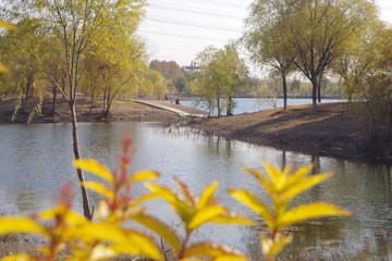DimageScan00042