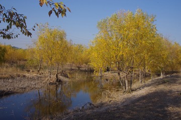 DimageScan00126