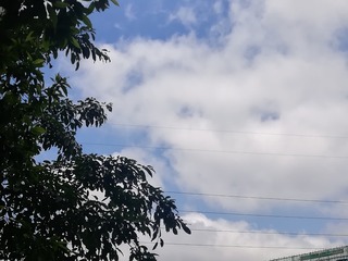 175043