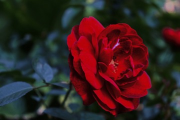 886FAC5C-3296-402D-BD6F-0F5E281FBA18/L0/001