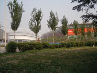DSCN2541.JPG