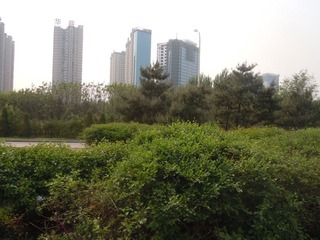 DSCN2543.JPG