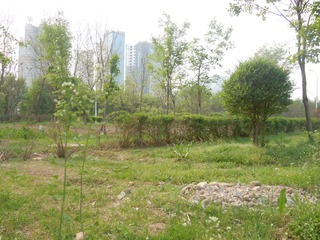 DSCN2559.JPG