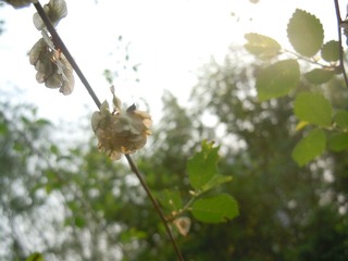 DSCN2561.JPG