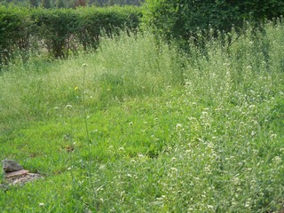 DSCN2565.JPG