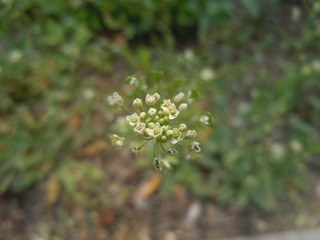 DSCN2573.JPG