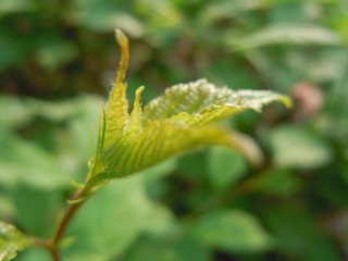 DSCN2578.JPG