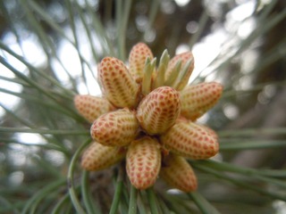 DSCN2580.JPG