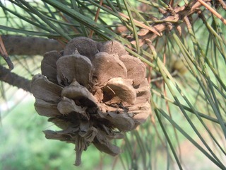 DSCN2582.JPG