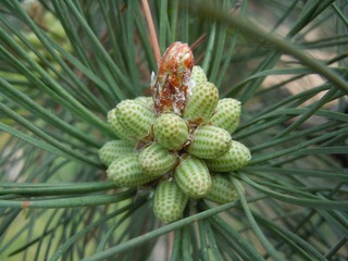 DSCN2583.JPG