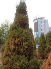 DSCN2585.JPG